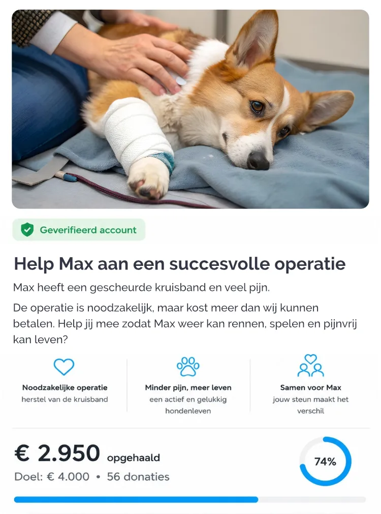 Voorbeeld inzamelingsactie op Doneeractie